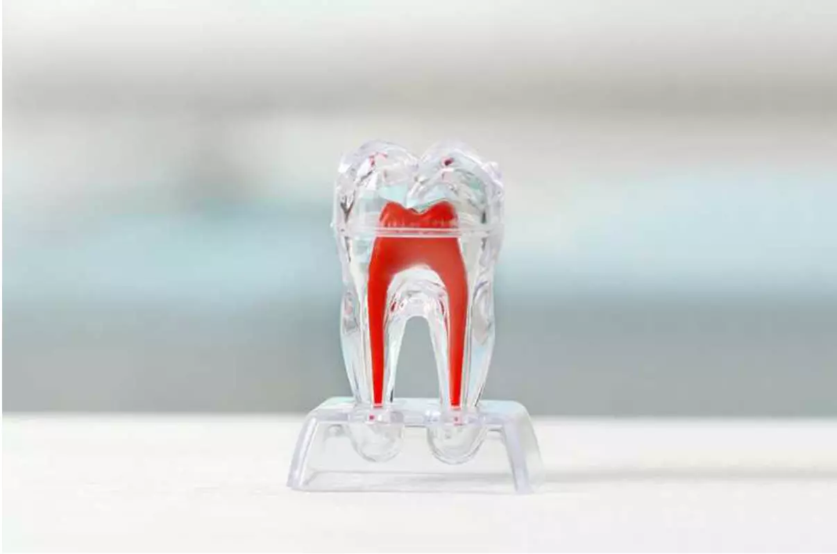 зубной нерв